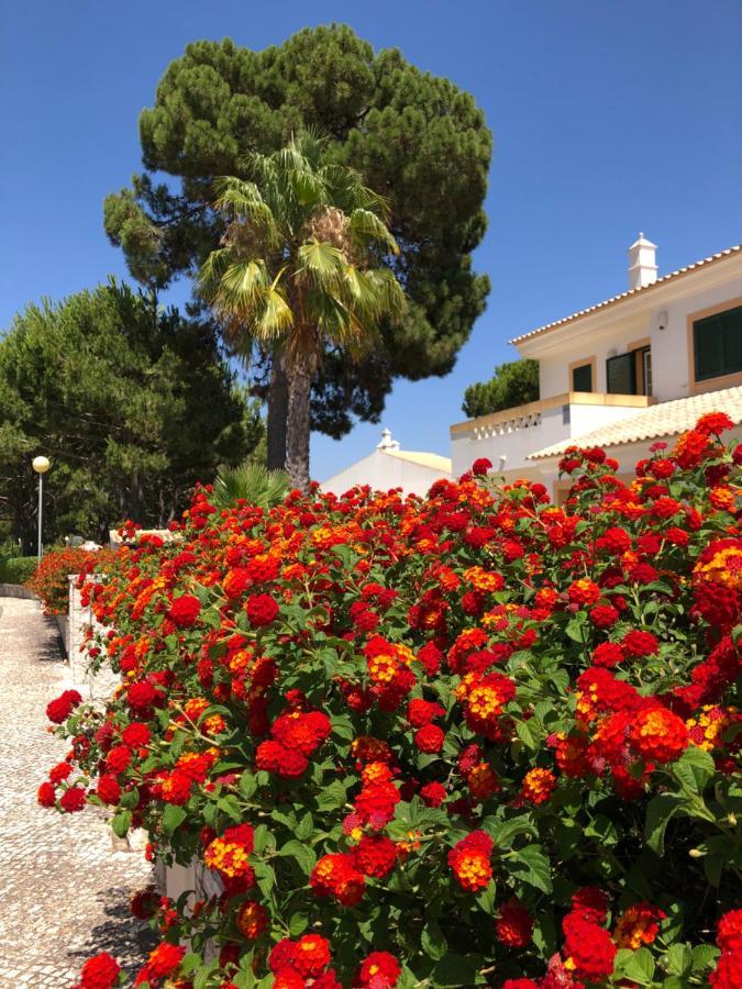 Algarve Albufeira, Quiet Apart With Pool At 10 Mn Walk From Praia Da Falesia أولوز داغوا المظهر الخارجي الصورة